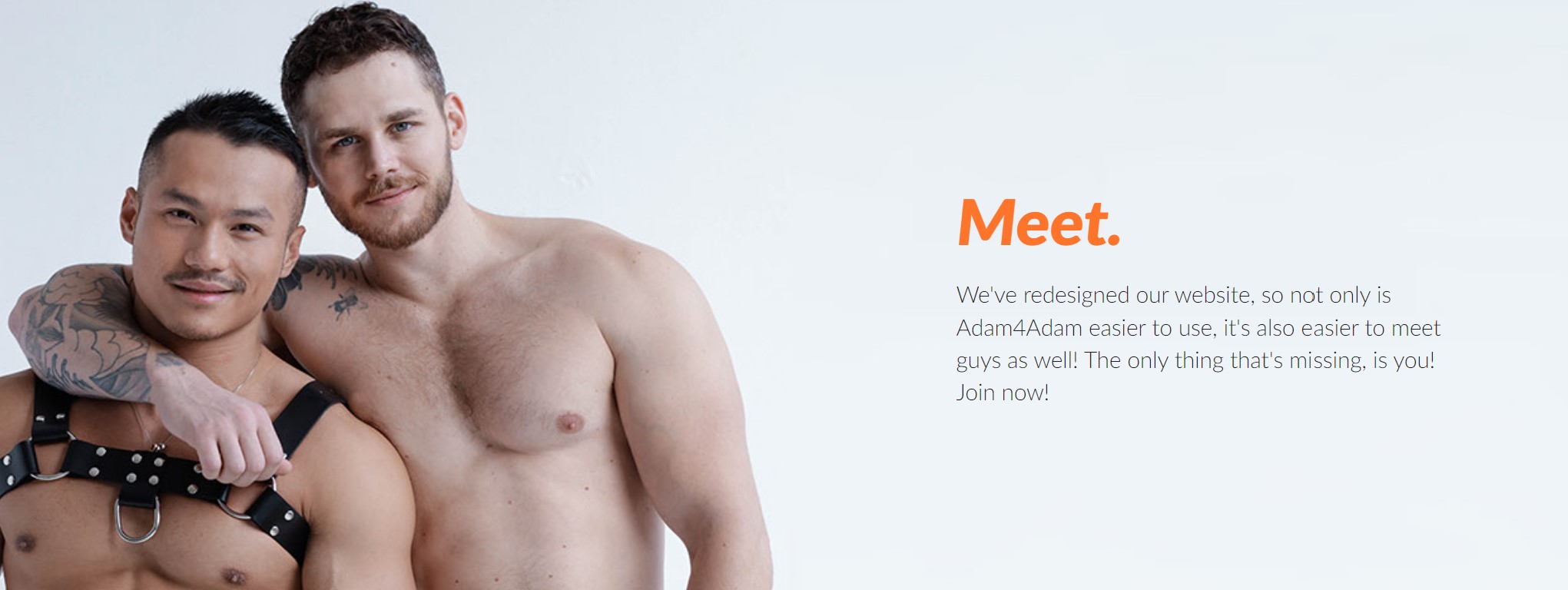 gay dating site